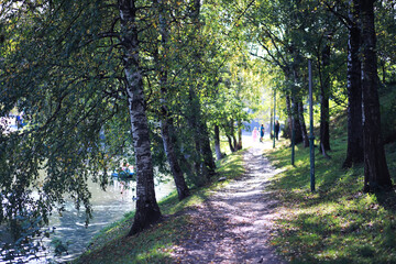 Fototapeta premium Beautiful autumn park. Russian North. Autumn trees and leaves. Autumn Landscape.Park in Autumn. Forest in Autumn.