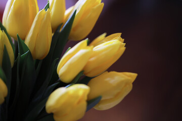 Naklejka premium Tulip flowers close-up in a vase. Mothers Day.
