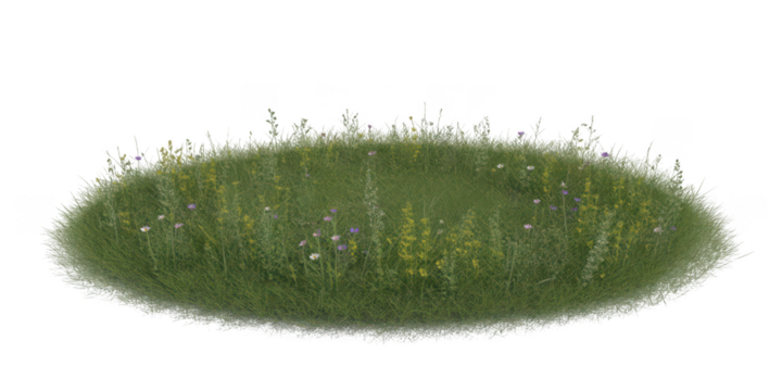 Green oval fuzzy object isolated on transparent background