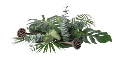 Fototapeta premium Exotic tropical plant arrangement with lotus pods isolated on transparent background