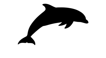 Fototapeta premium Silhouette of a playful dolphin leaping gracefully, a stunning black and white image.