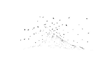 A mountain peak with a flock of birds flying around it in a monochromatic black and white illustration style