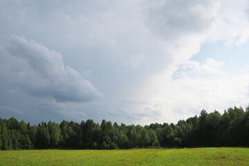 Summer landscape, lush green vegetation and nature.