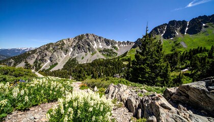 Mountain vista with wildflowers (4)