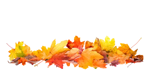 Fototapeten Wasserfälle pile of fall leaves isolated, autumn natural background  © andreusK