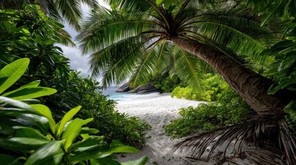 Serene Tropical Beach Scene Surrounded by Lush Greenery and Palm Trees Under a Cloudy Sky