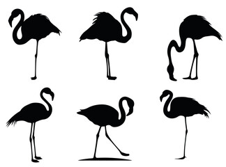 Obraz premium Minimal vector depiction of flamingos as black silhouettes, conveying tropical charm and elegance. Suitable for surface design, decorative prints, lifestyle blogs and summer themed media