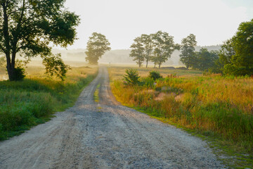 country road in the morning