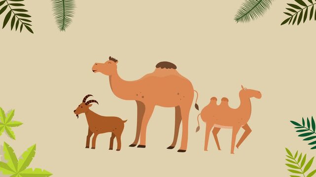 Camel family resting in calm desert scene