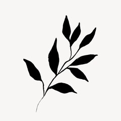 Botanical line art, minimal black graphic illustration