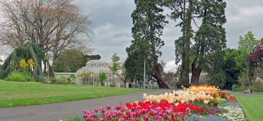 Vibrant tulips and  flowers bloom in the foreground of Dublin&rsquo;s National Botanic Gardens