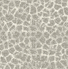 Gray stone surface with white cracks forming a subtle floral pattern