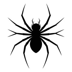 Halloween Spider Vector Illustration