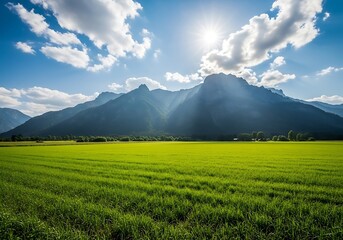 Fototapeta premium Vast green field with sun rays shining over majestic mountains under blue sky