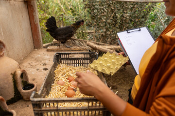 Farmer picking up fresh eggs and noting on clipboard