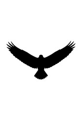 Fototapeta premium Bird Flying with Wings Spread Black Silhouette Illustration PNG Cut Out.