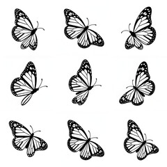 Graceful monarch butterflies in flight, a delicate pattern for natural beauty and summer themes