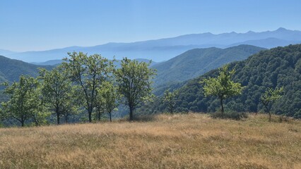 autumn in the mountains