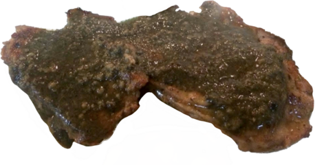 Black Pepper meat beef steak isolated on white background