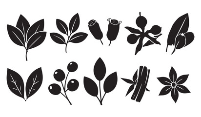 black and white silhouette vector set of indian herbs and spices © master2d
