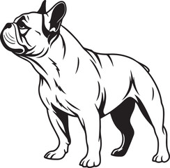 Obraz premium Bull dog vector art silhouette image