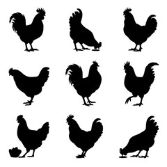 Diverse rooster silhouettes capture farm life and agricultural appeal with dynamic farmyard scenes
