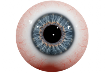 Extreme closeup of a human blue iris and pupil, isolated on transparent background