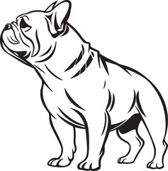 Fototapeta premium Bull dog vector art silhouette image