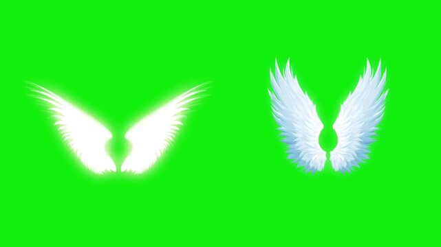 Angel birds flying wings animation video green screen.