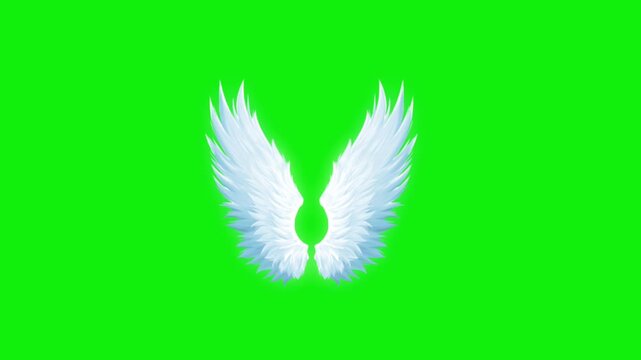 Angel birds flying wings animation video green screen.