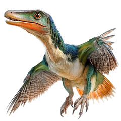 Microraptor Dinosaur Illustration