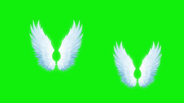 Angel birds flying wings animation video green screen.
