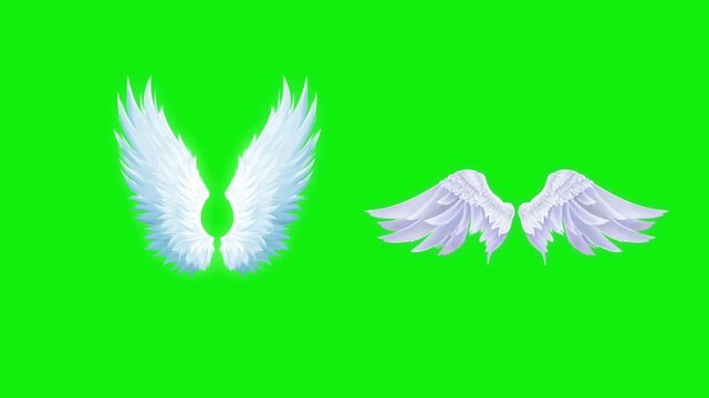 Angel birds flying wings animation video green screen.