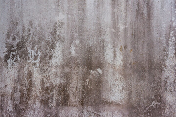 dirty on old cement wall with mold texture