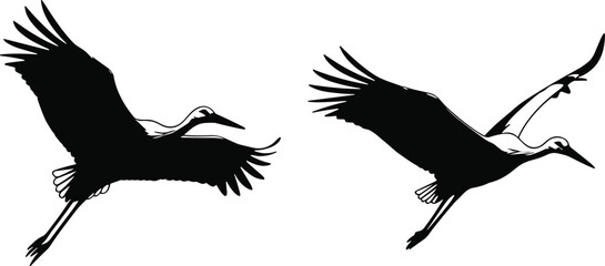 Bird flight silhouettes, elegant wing positions, long-necked birds in motion, black vector icons, graceful avian design, flying posture comparison