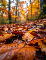 Close-up of vibrant autumn leaves on a damp forest floor. Rich colors and natural textures of fall foliage, with raindrops creating a beautiful, seasonal nature background