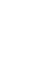 PNG Set of 24 white silhouette shapes on a transparent background, including stars and hearts