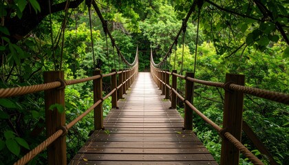 Wooden Suspension Bridge in a Lush Green Forest