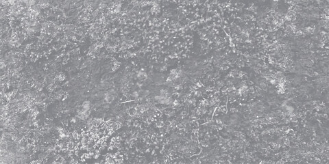 Obraz premium Abstract aerial view of a natural landscape in monochromatic tones depicting a patterned surface with textural complexity