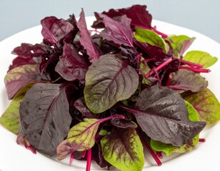 Fresh red spinach on a clean white ceramic plate, with water droplets glistening on the leaves