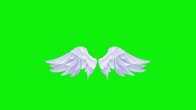 Angel birds flying wings animation video green screen.