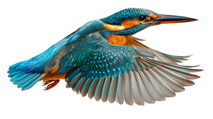 Vibrant Common Kingfisher bird in mid flight, showcasing its stunning blue and orange plumage, with wings spread wide, capturing essence of nature beauty and grace