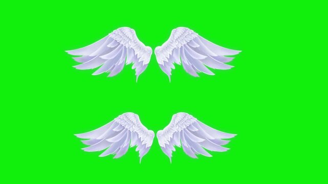 Angel birds flying wings animation video green screen.