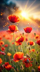 Fototapeta premium A vast expanse of poppies sways gently in the breeze as sun rays cast a warm glow on the flowers