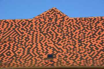 roof of the old house