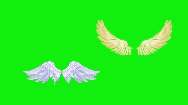 Angel birds flying wings animation video green screen.