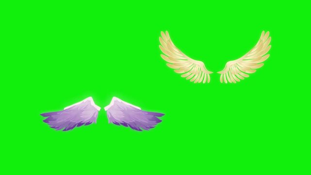 Angel birds flying wings animation video green screen.