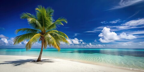 Palm tree stands alone on a white sandy beach in the Indian Ocean