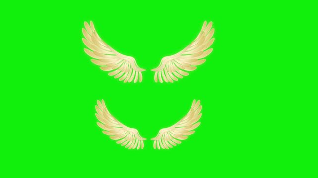 Angel birds flying wings animation video green screen.