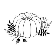 Fall Pumpkin Hand Drawn Illustration